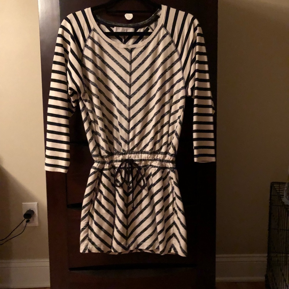 Ann Taylor Loft Dress
